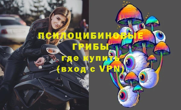 PSILOCYBIN Армянск