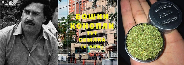 каннабис Аркадак