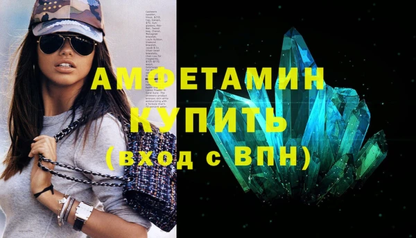 гидра Богданович