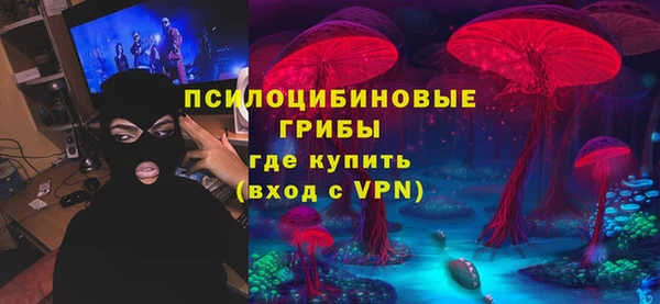 PSILOCYBIN Армянск